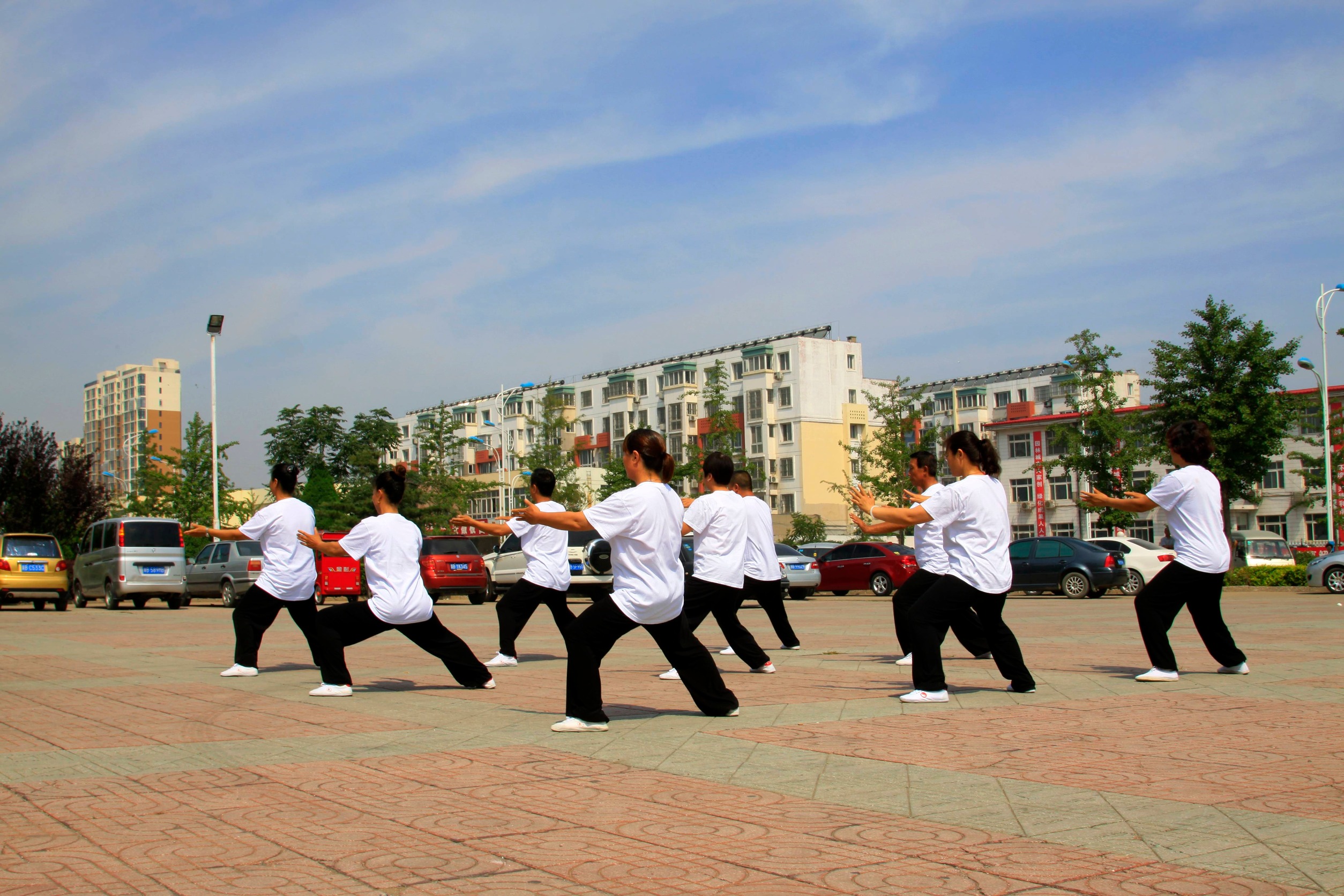 Grupo de persona haciendo tai chi